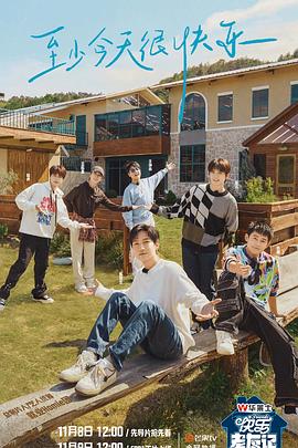 怎么网站优化查询